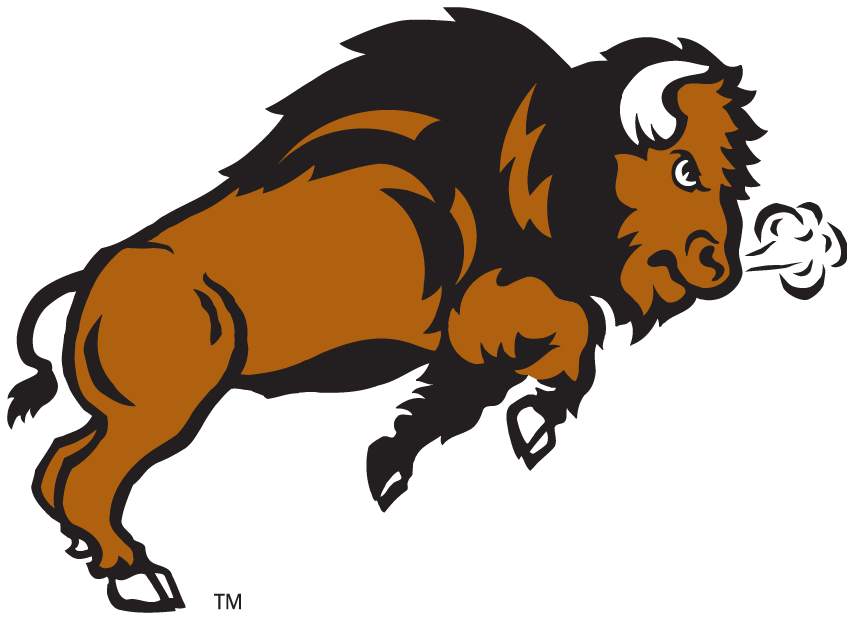 North Dakota State Bison 2005-2011 Secondary Logo t shirts iron on transfers v3